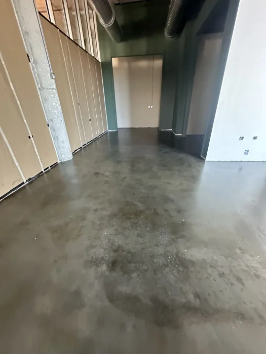 Driveway & Sidewalk Pressure Washing